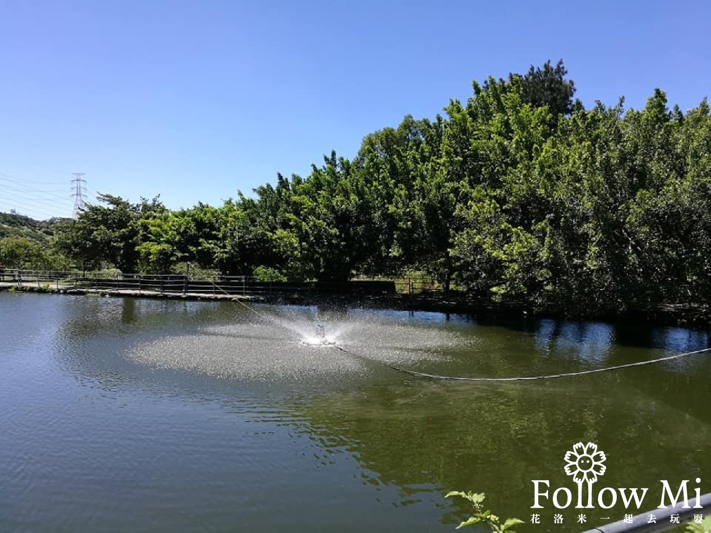 台灣山豬城,台灣水牛城,新北景點,林口區,林口山豬城,林口景點,林口景點 親子,白水牛