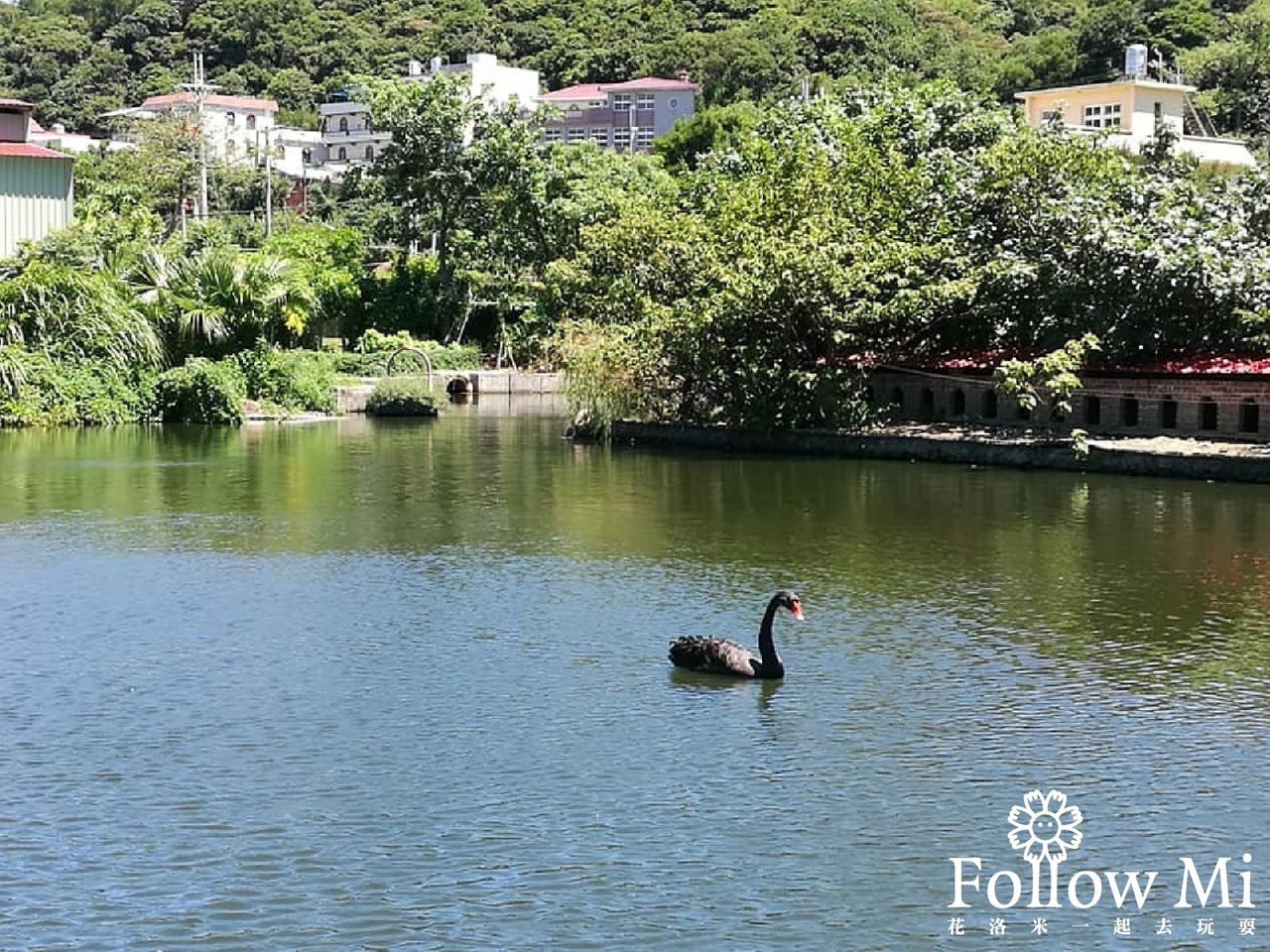 台灣山豬城,台灣水牛城,新北景點,林口區,林口山豬城,林口景點,林口景點 親子,白水牛