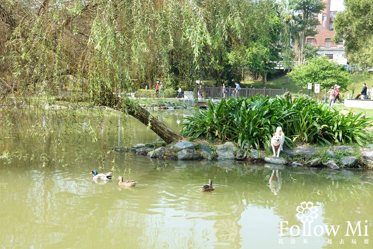 台北景點,台北親子一日遊,大湖公園,大湖公園錦帶橋,親子景點