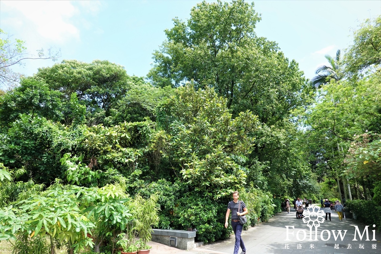 中正區,中正區景點,台北景點,台北植物園,植物園荷花池