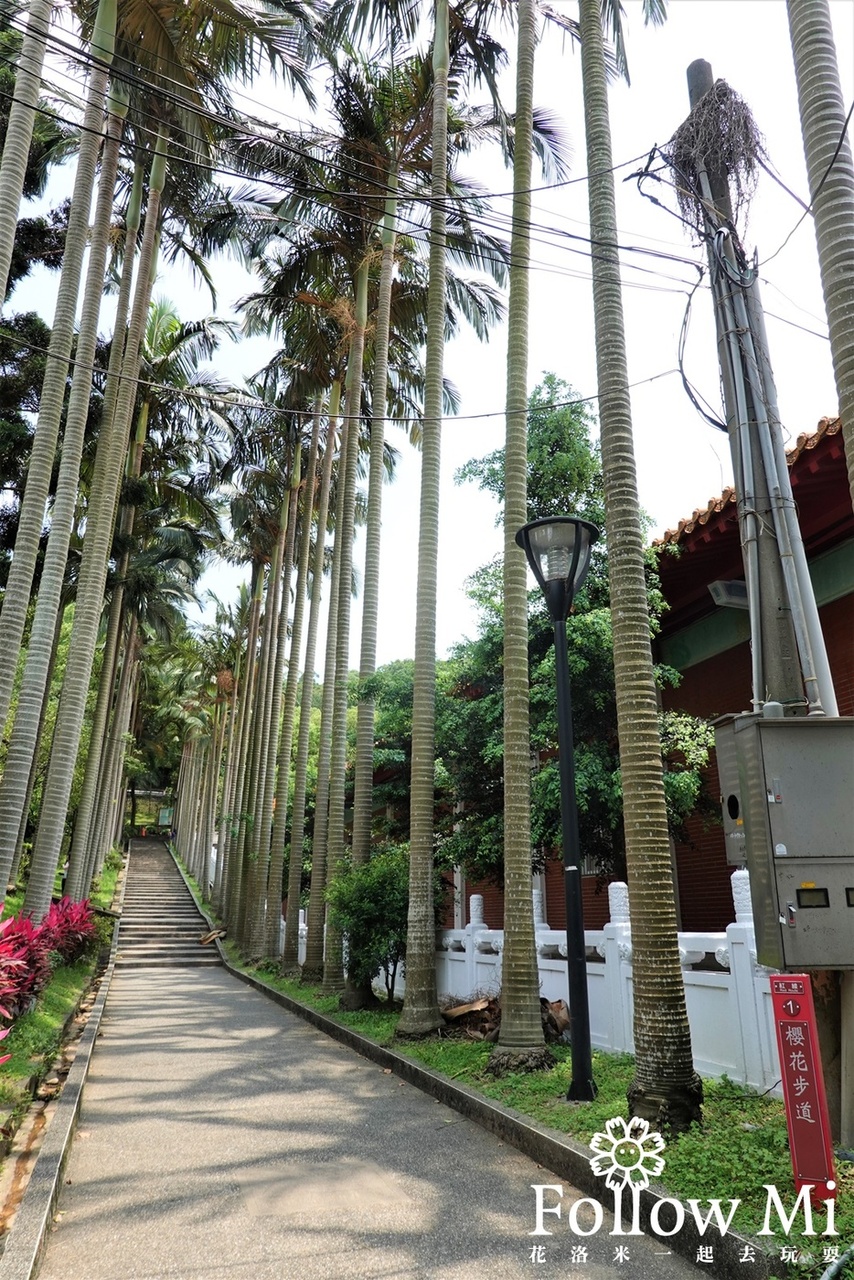 奧爾森林學堂,桃園區,桃園景點,虎頭山公園,貓頭鷹公園