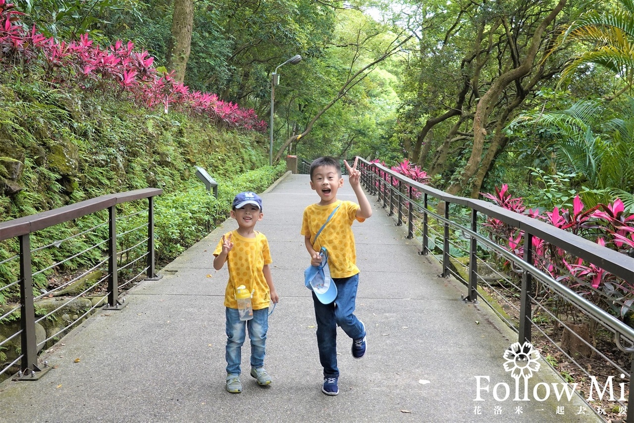 奧爾森林學堂,桃園區,桃園景點,虎頭山公園,貓頭鷹公園