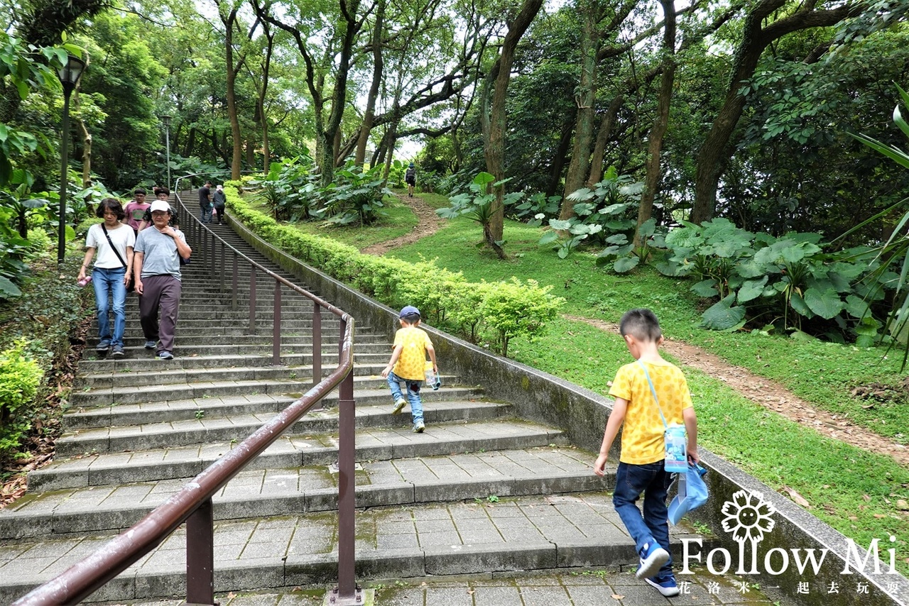 奧爾森林學堂,桃園區,桃園景點,虎頭山公園,貓頭鷹公園