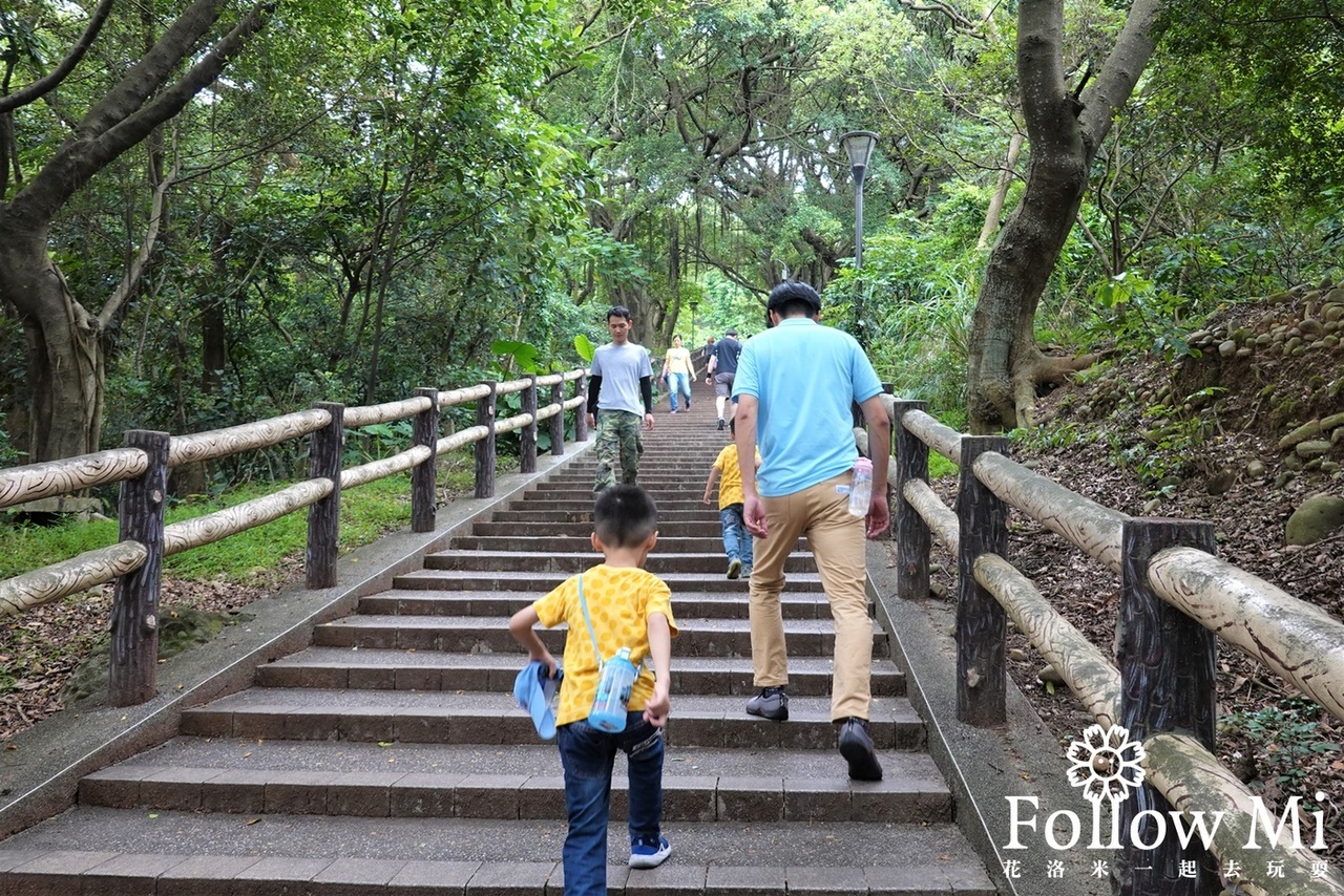 奧爾森林學堂,桃園區,桃園景點,虎頭山公園,貓頭鷹公園