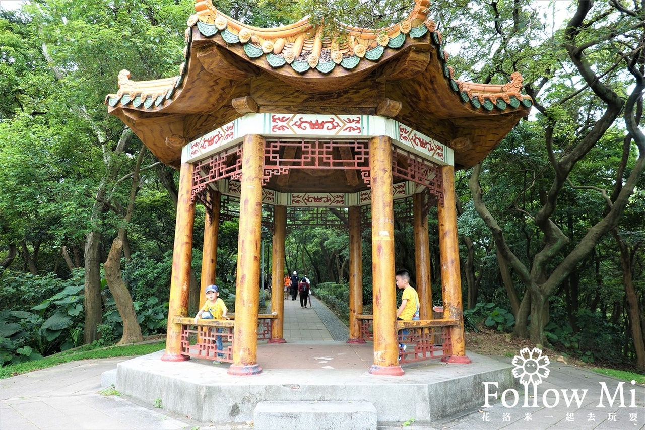 奧爾森林學堂,桃園區,桃園景點,虎頭山公園,貓頭鷹公園