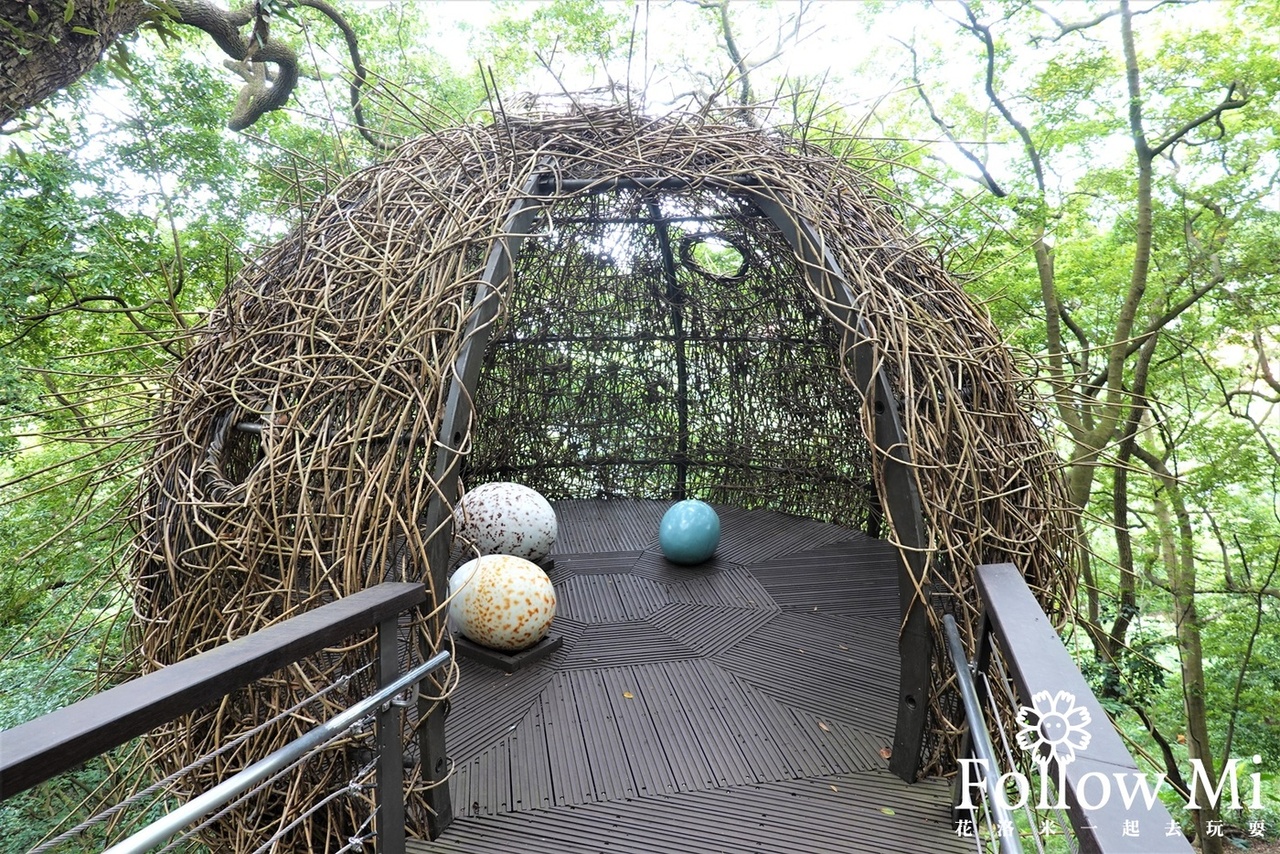 奧爾森林學堂,桃園區,桃園景點,虎頭山公園,貓頭鷹公園