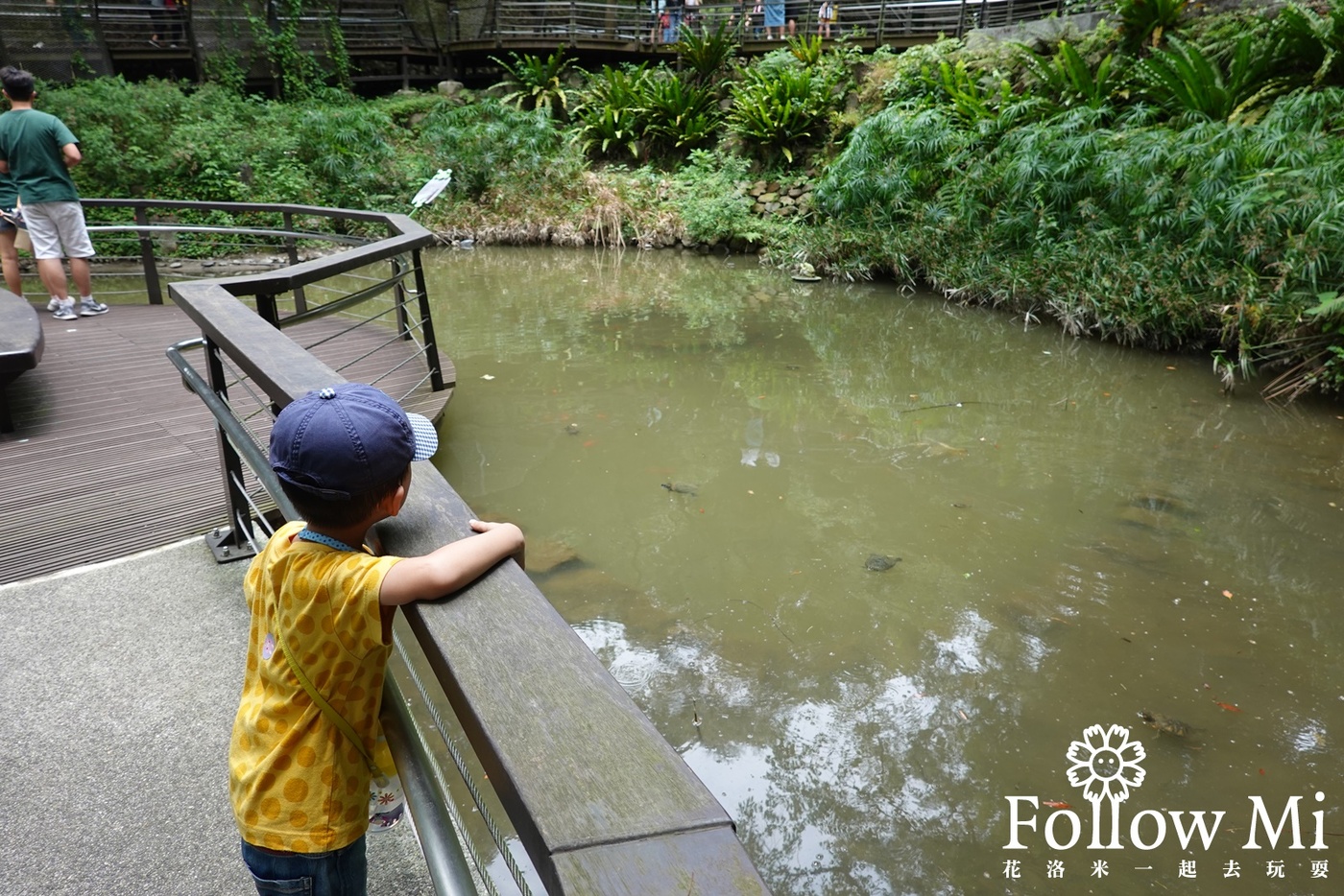 奧爾森林學堂,桃園區,桃園景點,虎頭山公園,貓頭鷹公園