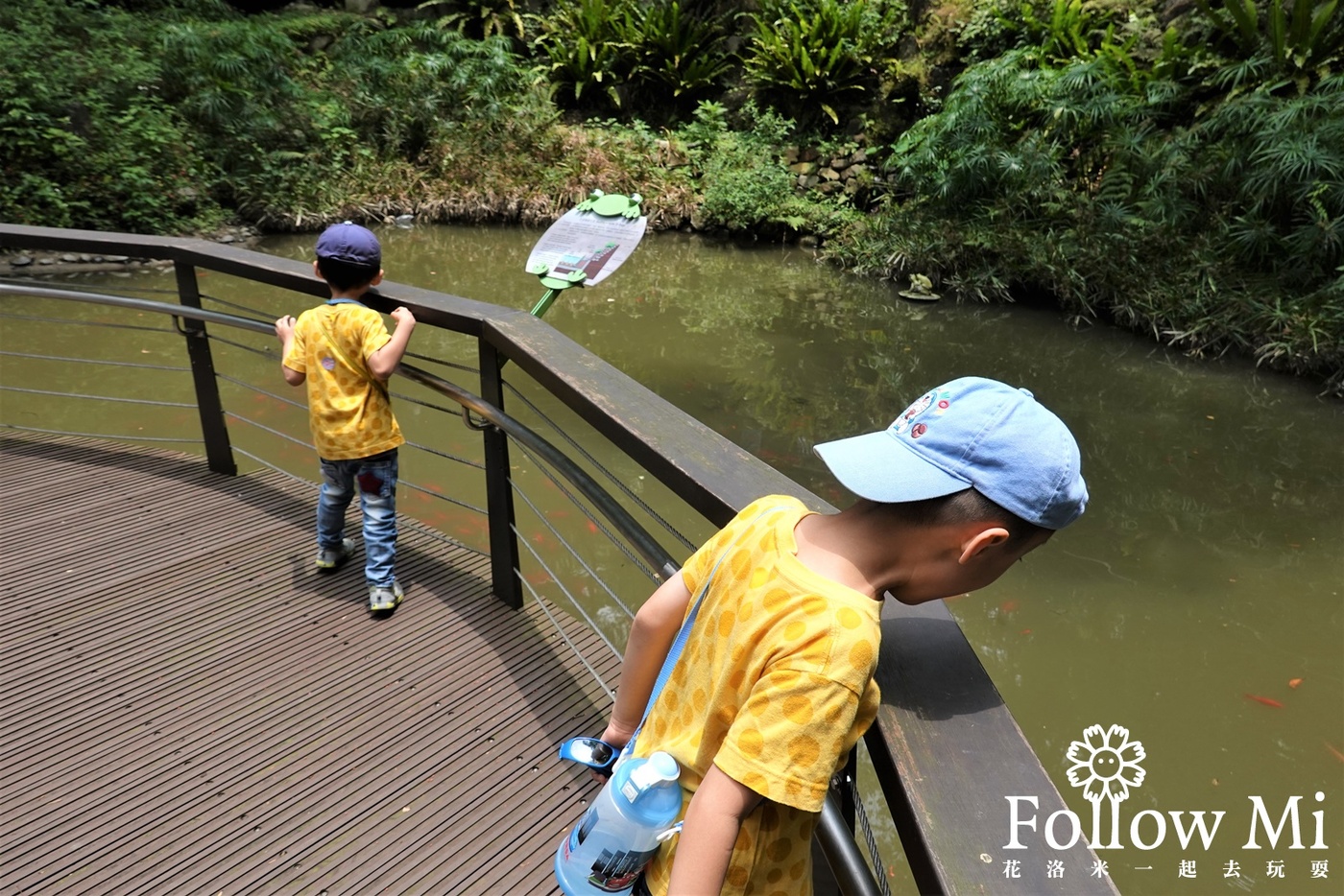 奧爾森林學堂,桃園區,桃園景點,虎頭山公園,貓頭鷹公園