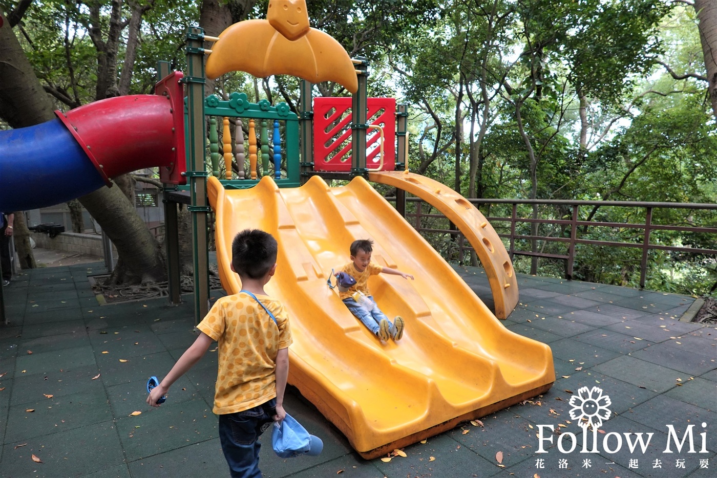 奧爾森林學堂,桃園區,桃園景點,虎頭山公園,貓頭鷹公園