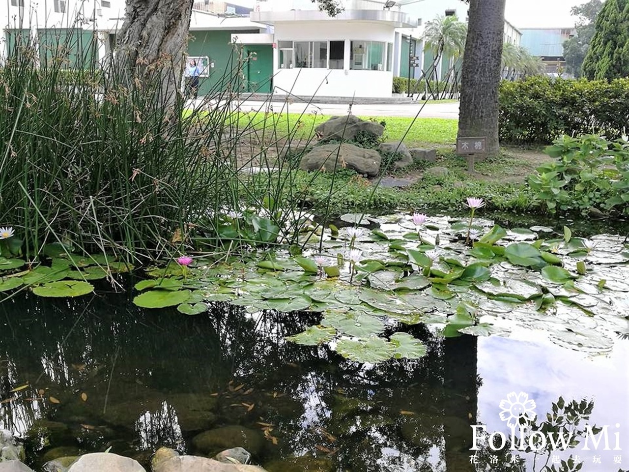 南僑觀光工廠,南僑觀光體驗工廠,桃園景點,親子景點,龜山區