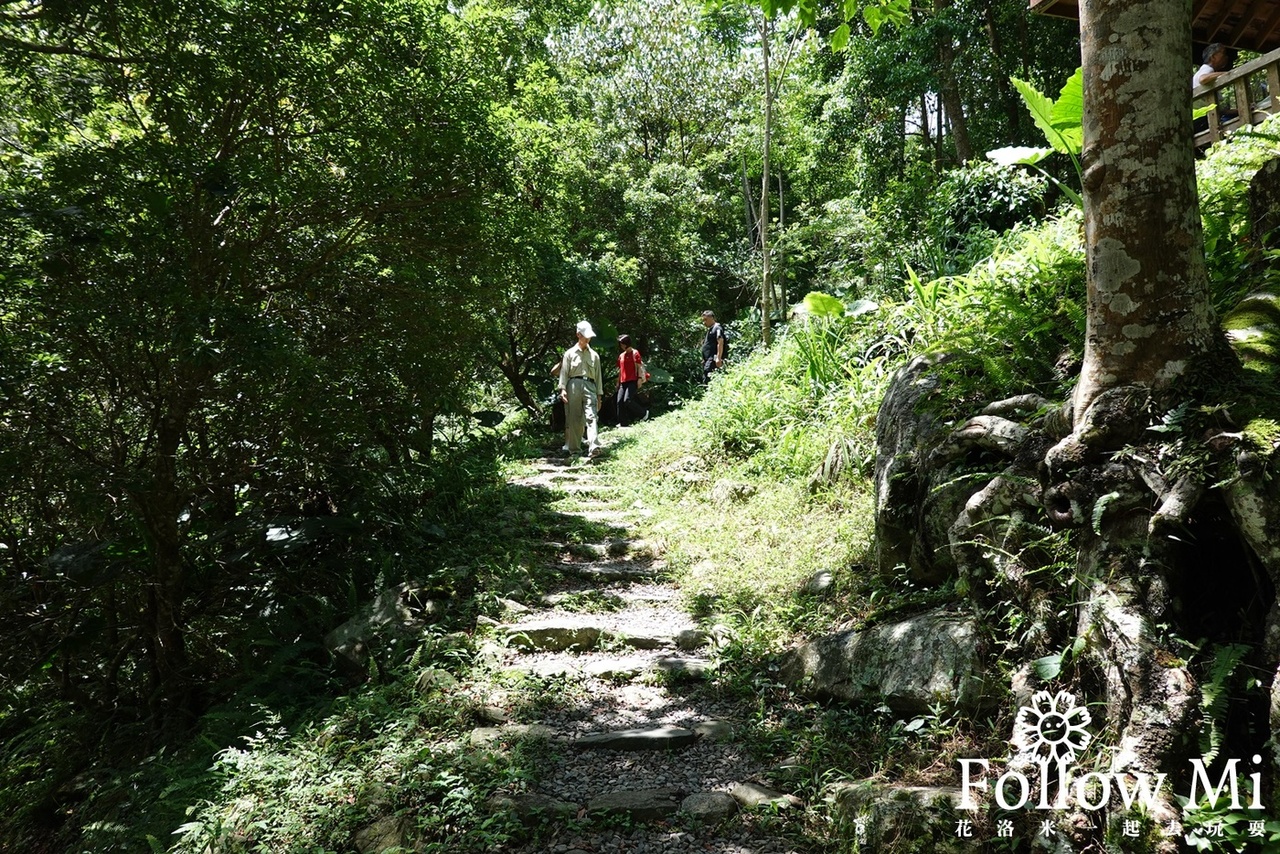 八仙山,八仙山國家森林遊樂區,八仙山天籟步道,八仙山森林遊樂區,台中景點,和平區