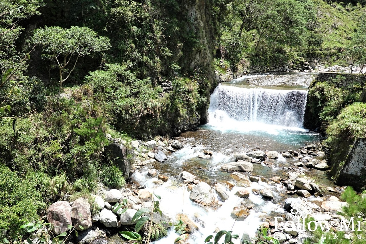 八仙山,八仙山國家森林遊樂區,八仙山天籟步道,八仙山森林遊樂區,台中景點,和平區