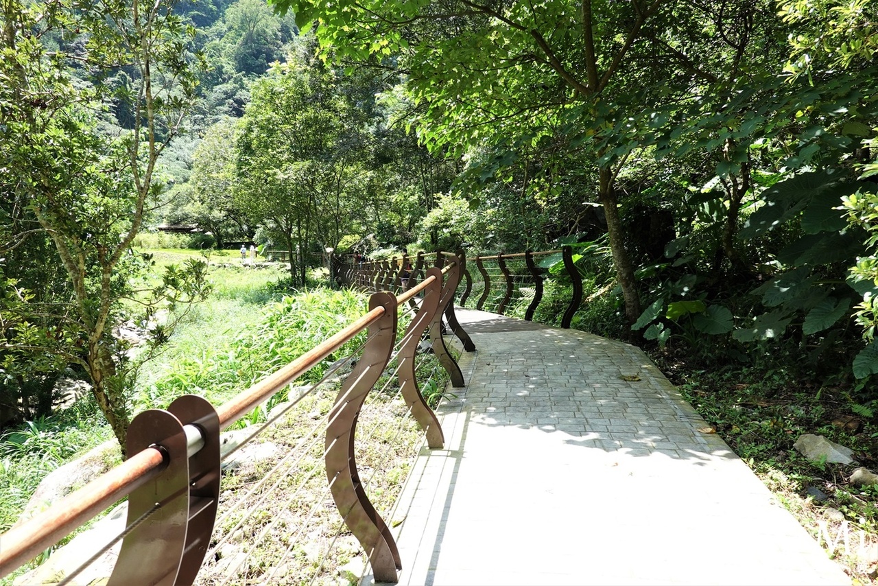 八仙山,八仙山國家森林遊樂區,八仙山天籟步道,八仙山森林遊樂區,台中景點,和平區