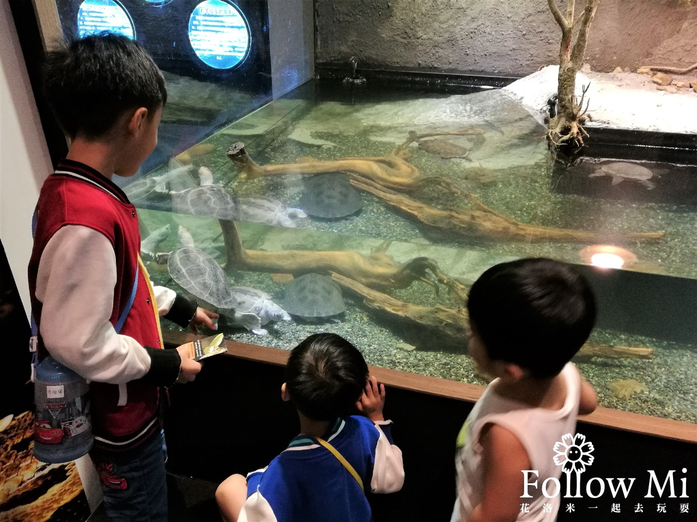 中正區,基隆景點,海洋科學博物館,海科館