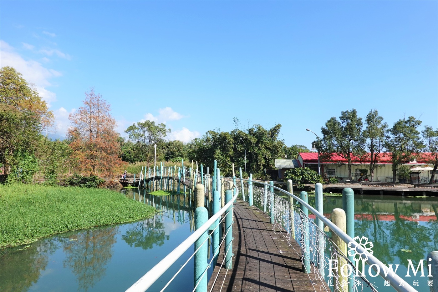 員山鄉,宜蘭景點,望龍埤,枕山村,落羽松