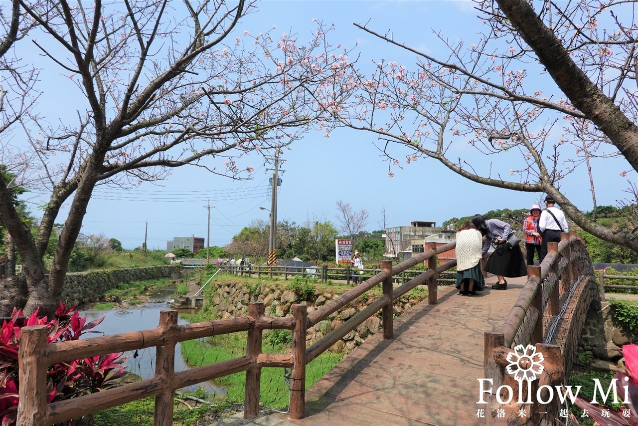 三生步道,三生步道櫻花,三芝區,新北景點