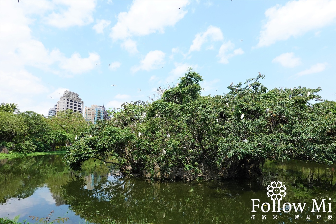 台北景點,大安區,大安森林公園,大安森林公園站