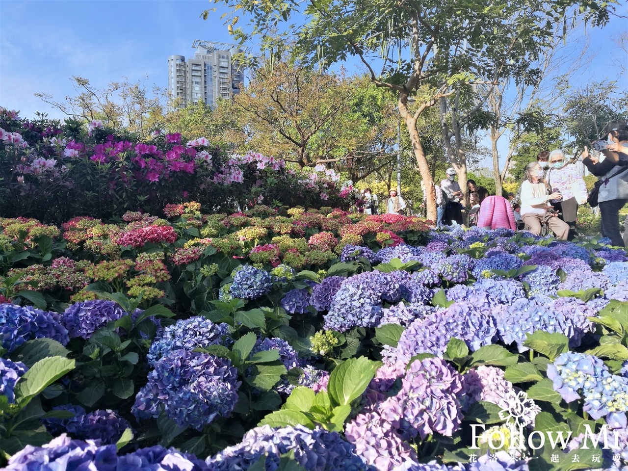 台北景點,大安區,大安森林公園,大安森林公園站