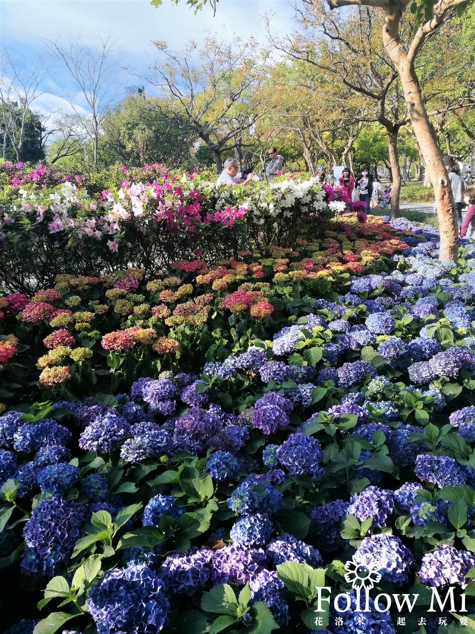 台北景點,大安區,大安森林公園,大安森林公園站