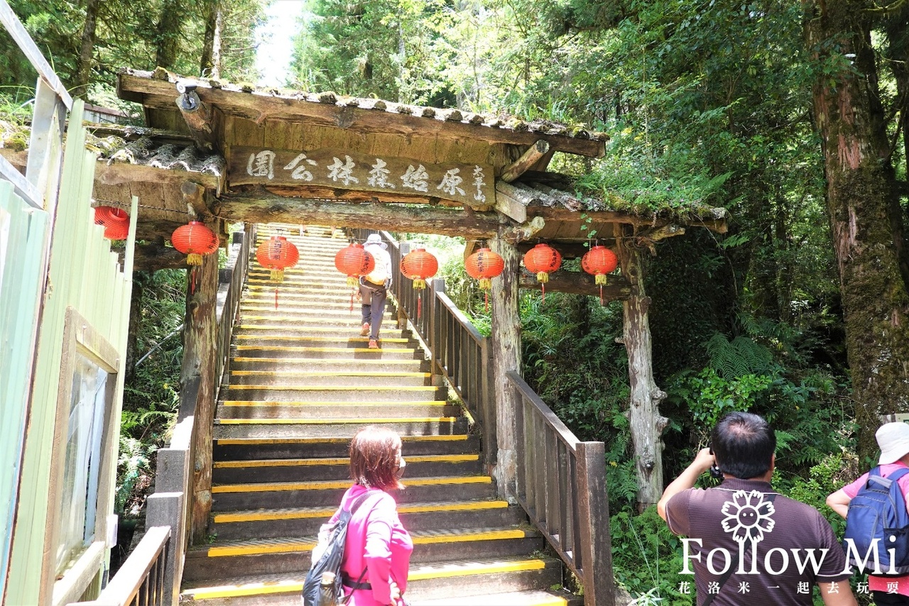 大同鄉,太平山,太平山國家森林遊樂區,宜蘭景點,蹦蹦車