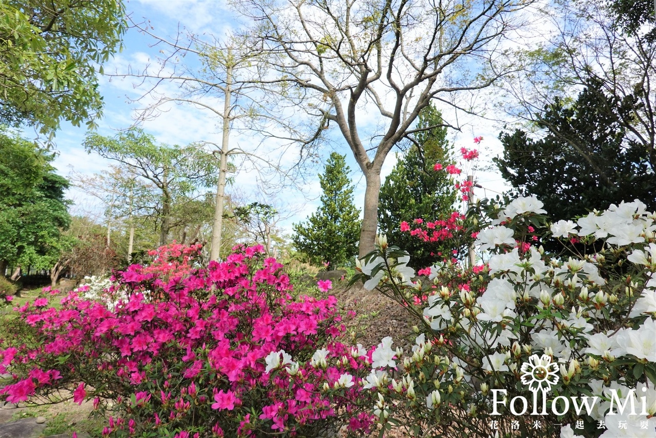 宜蘭景點,親子公園,頭城運動公園,頭城鎮