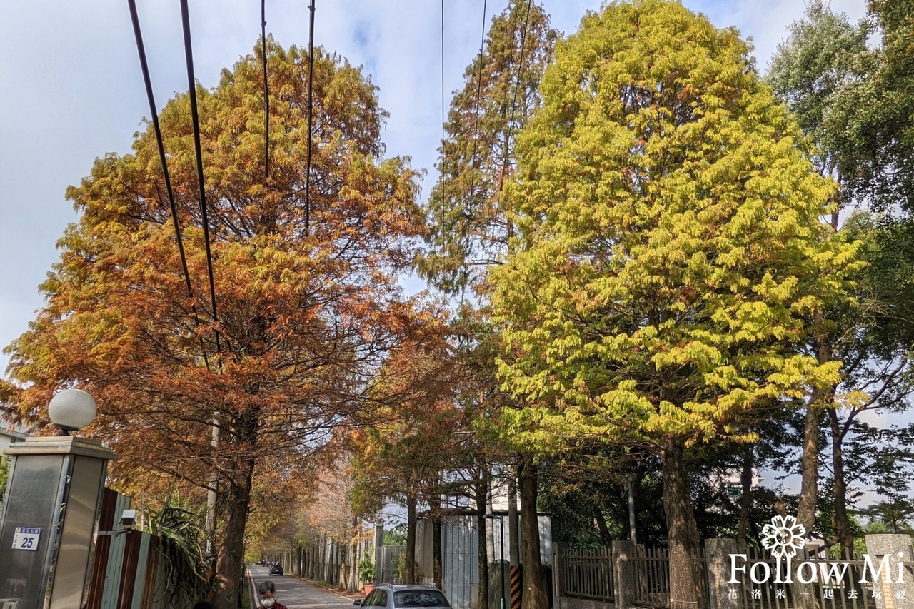 大溪區,桃園景點