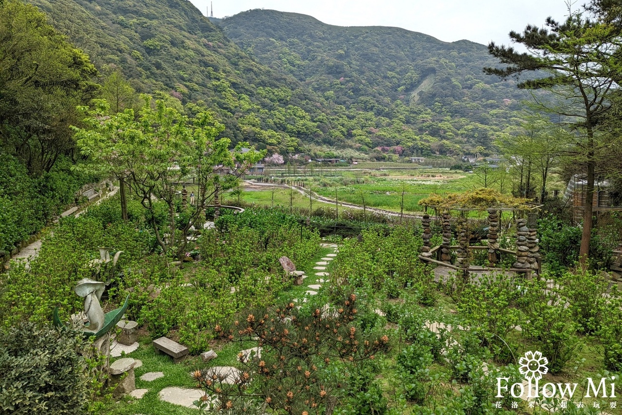 台北景點,名陽圃休閒農莊,海芋,陽明山
