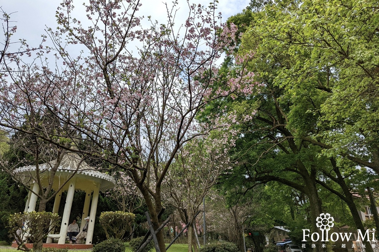 前山公園,北投區,台北景點