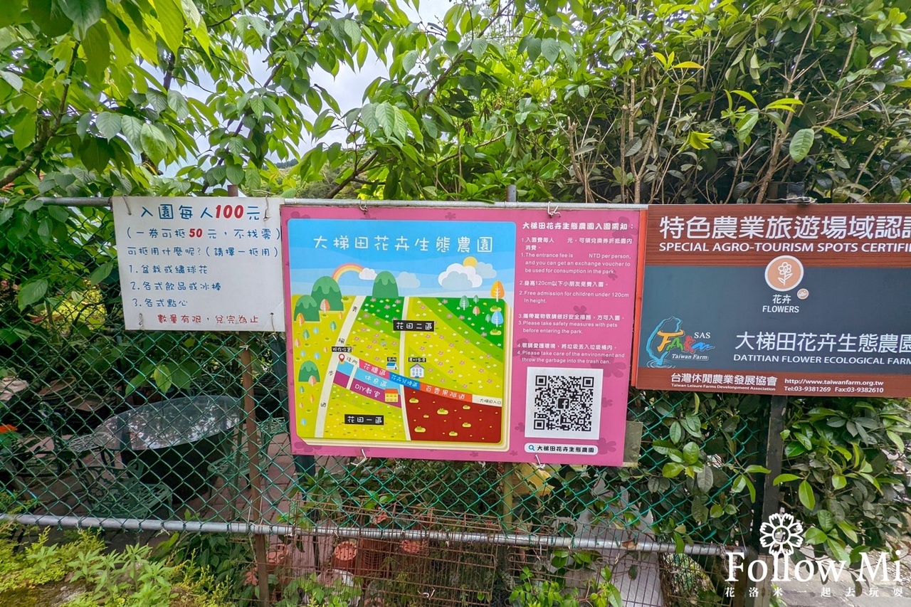 北投區,台北景點,大梯田,陽明山