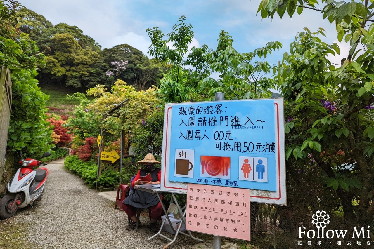 北投區,台北景點,大梯田,陽明山