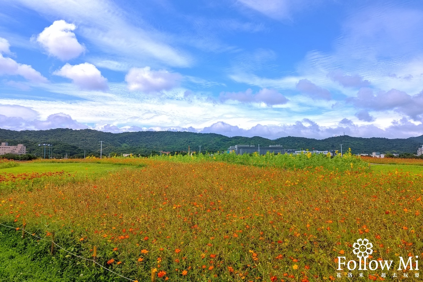 中山區,台北景點,大佳河濱公園