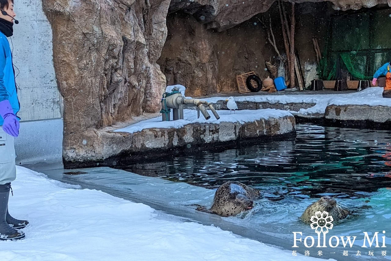 北海道,日本,旭山動物園,旭川