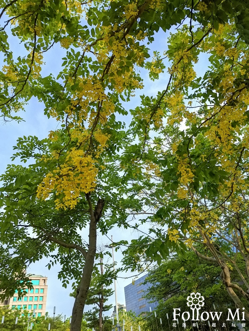 台中景點,捷運市政府站,西屯區