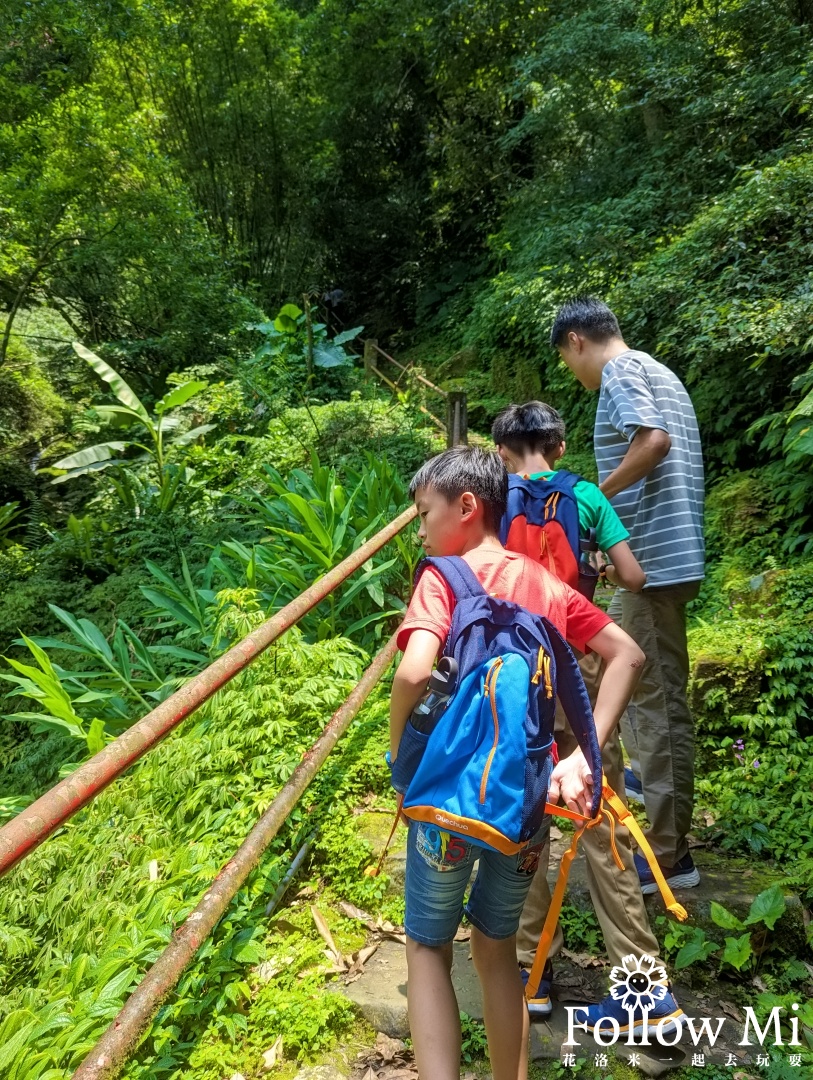 新北景點,新店區