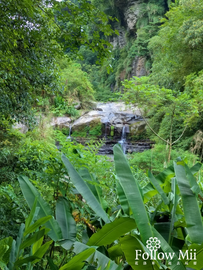 姜子寮,新北景點,汐止區