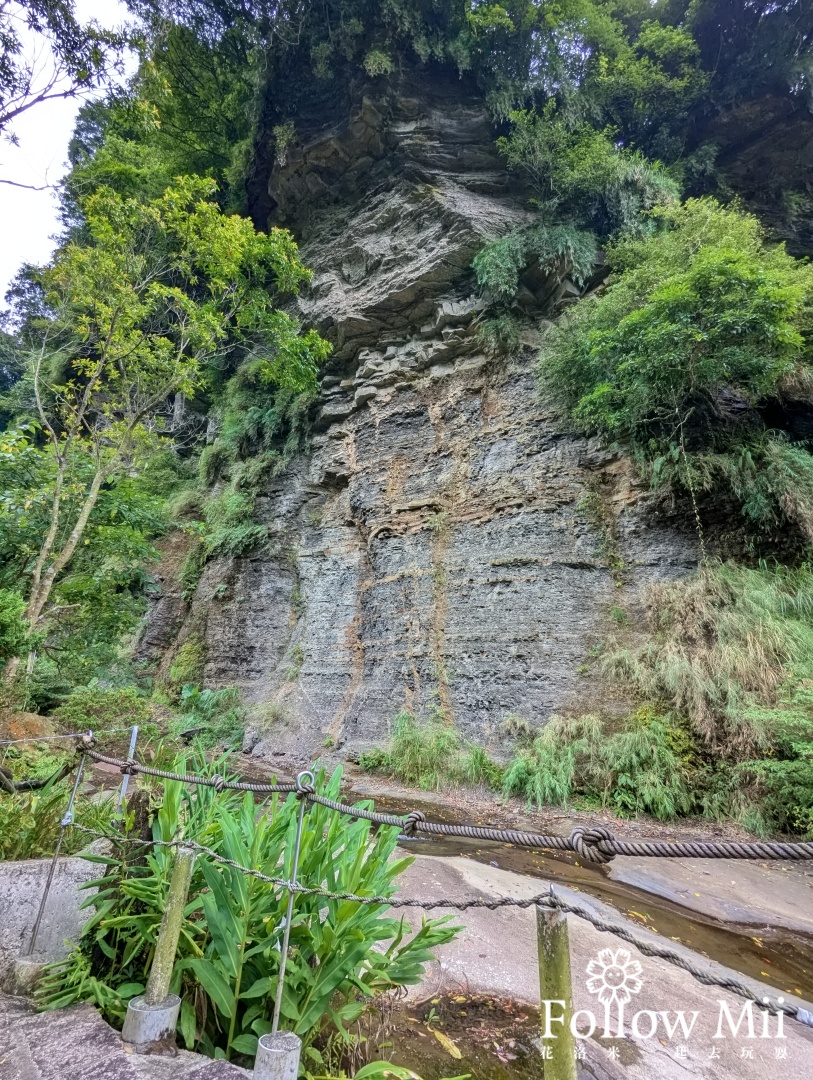 姜子寮,新北景點,汐止區