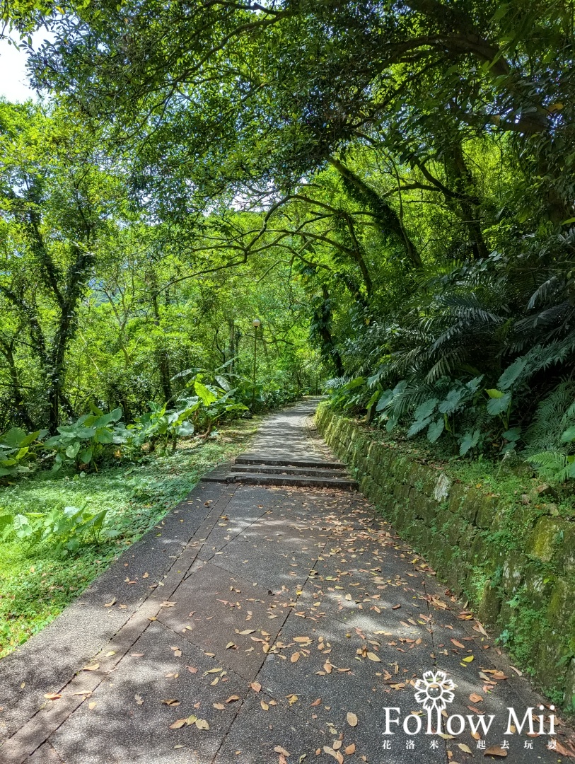 五峰旗瀑布,宜蘭景點,礁溪鄉