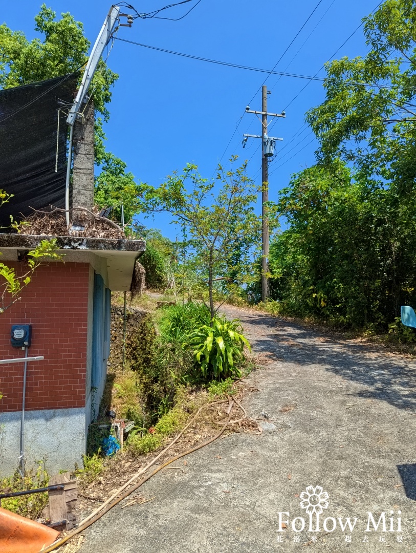 中山茶園步道,冬山鄉,宜蘭景點