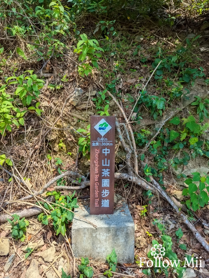 中山茶園步道,冬山鄉,宜蘭景點