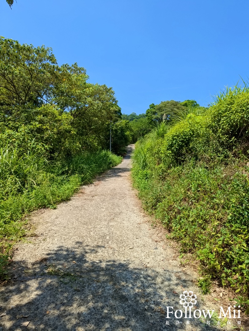 中山茶園步道,冬山鄉,宜蘭景點