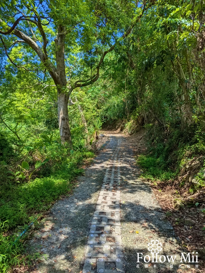 中山茶園步道,冬山鄉,宜蘭景點