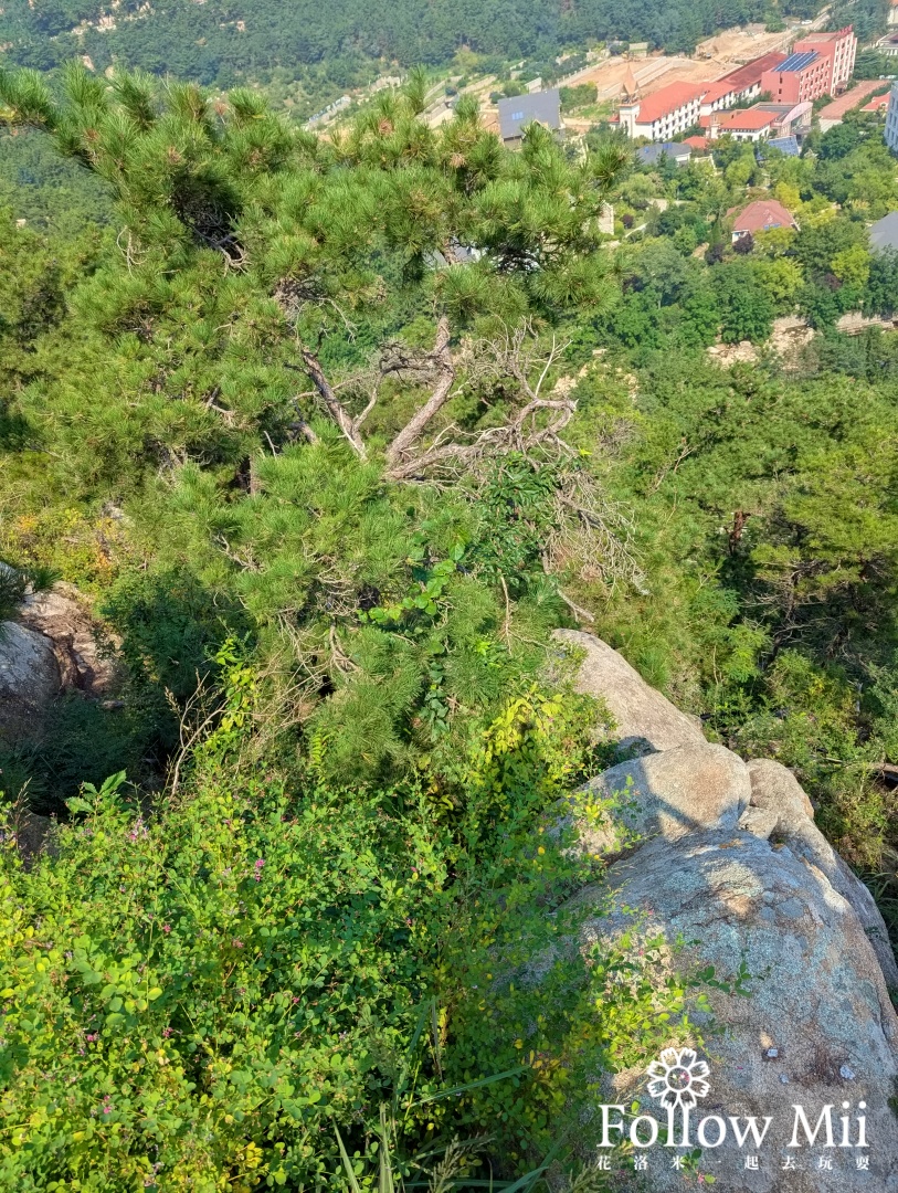 嶗山風景區,青島景點