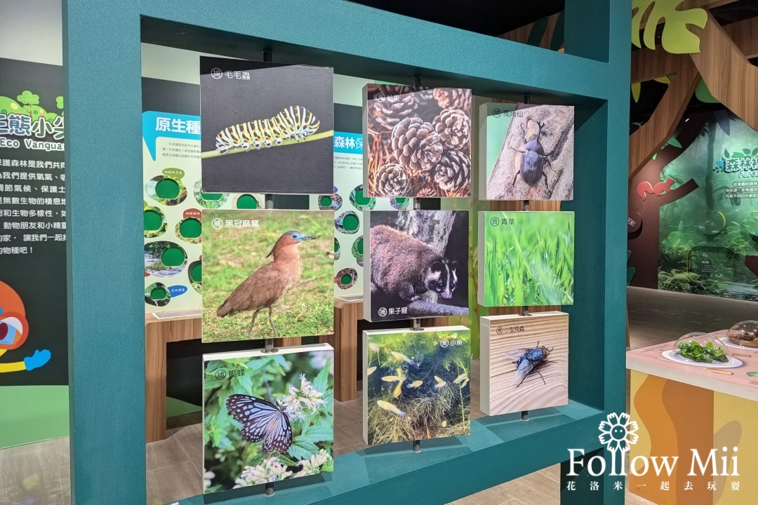 新竹景點,新豐鄉