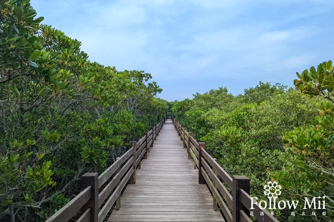 新竹景點,新豐鄉