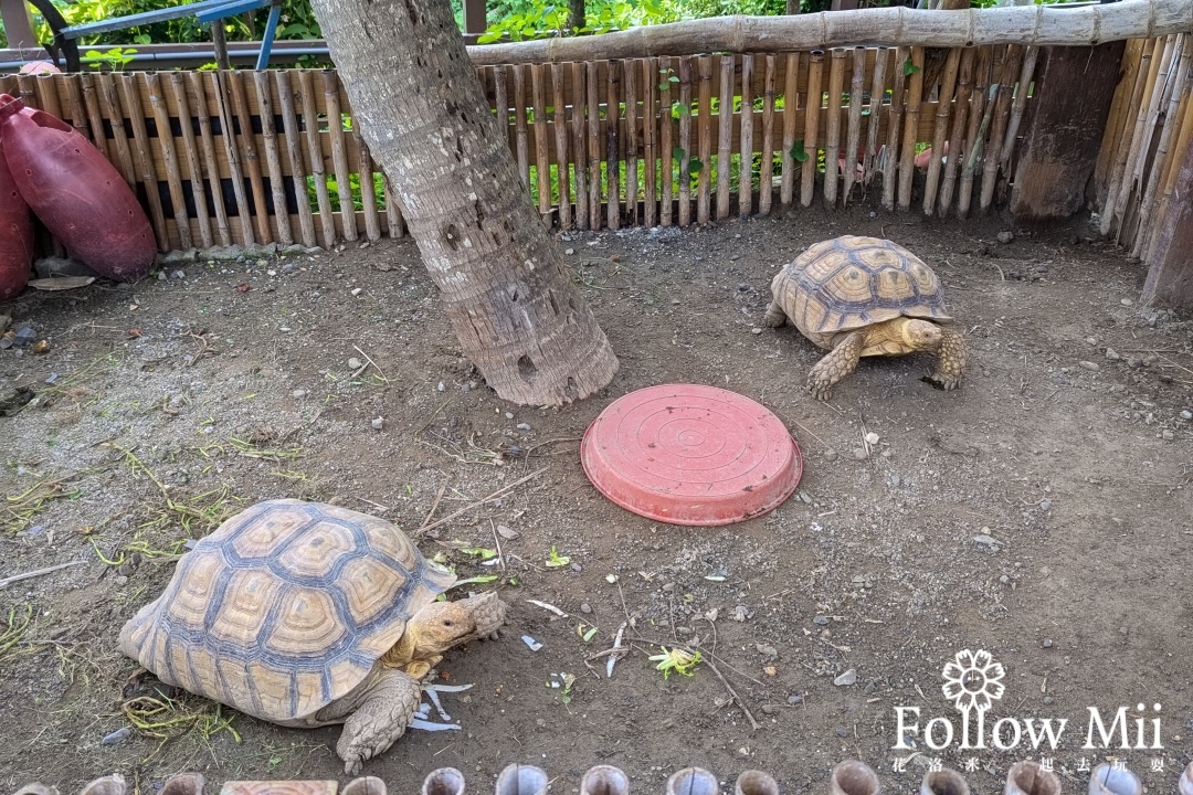 卑南鄉,可可娜咖啡,台東景點