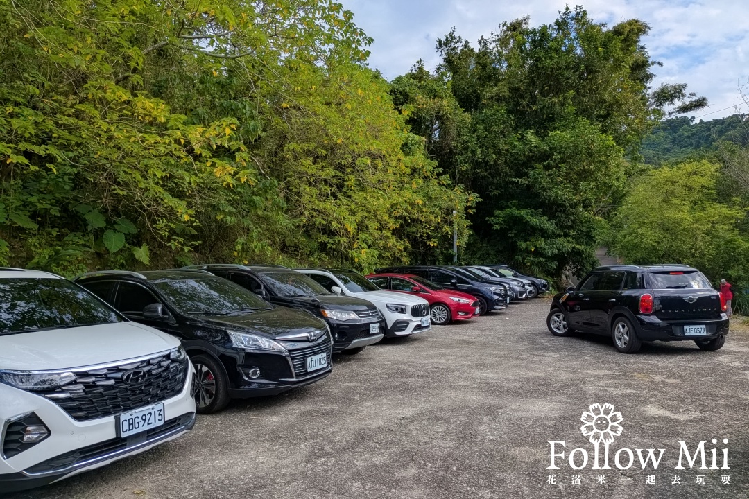 大溪區,有雞料理,桃園美食