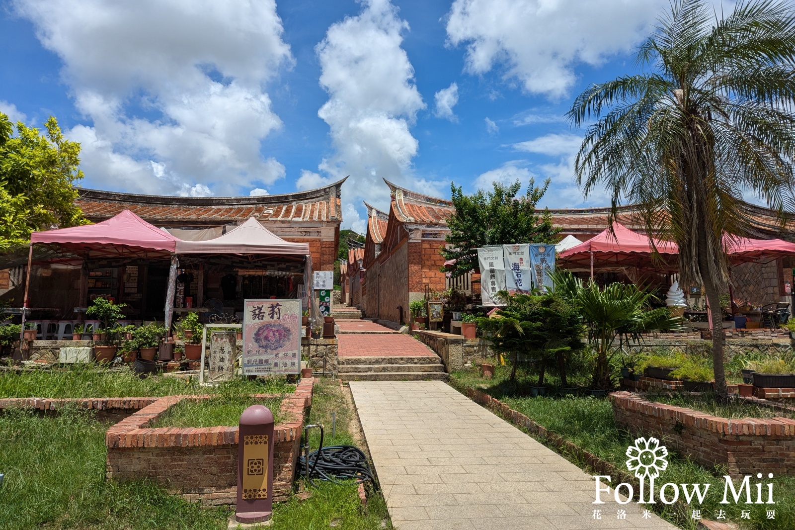  @花洛米一起去玩耍